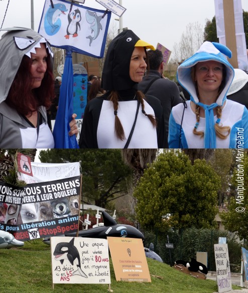 Non, les militants n'oublient pas les autres animaux : la banderole de Sans voix Paca, affichant leurs combats anti-spécistes, et 3 militantes déguisées en dauphin, requin et pingouin